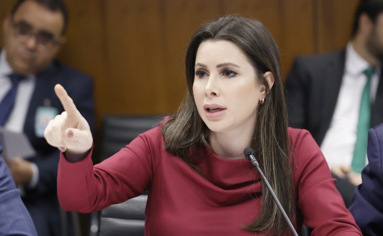 Comissão aprova projeto que prevê uso de algoritmos no combate a crimes digitais contra crianças e adolescentes