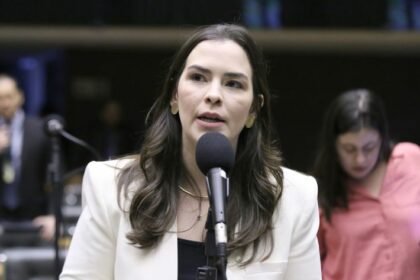 Comissão aprova prioridade para gestantes e lactantes no acesso a vacina e medicamentos durante epidemias